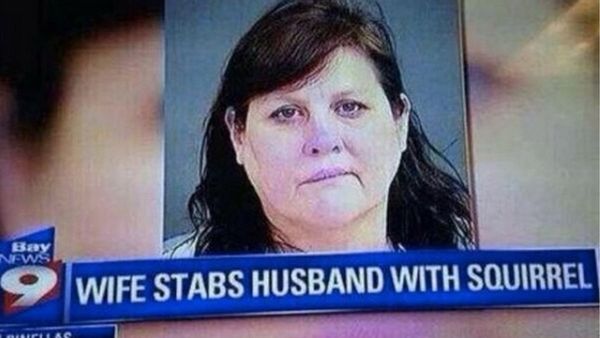 A viral picture shared online since 2013 shows a purported news headline from a Bay News 9 TV broadcast showing a mug shot of Helen Ann Williams and the words wife stabs husband with squirrel.